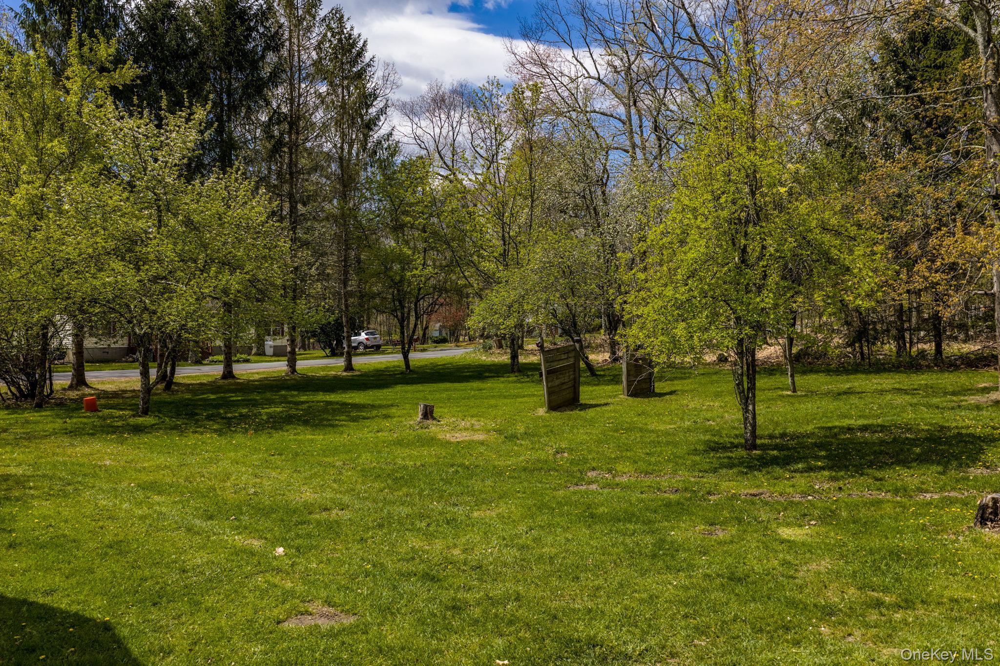 Single Family Peenpack Orange County, NY 12780, MLS-996339-37