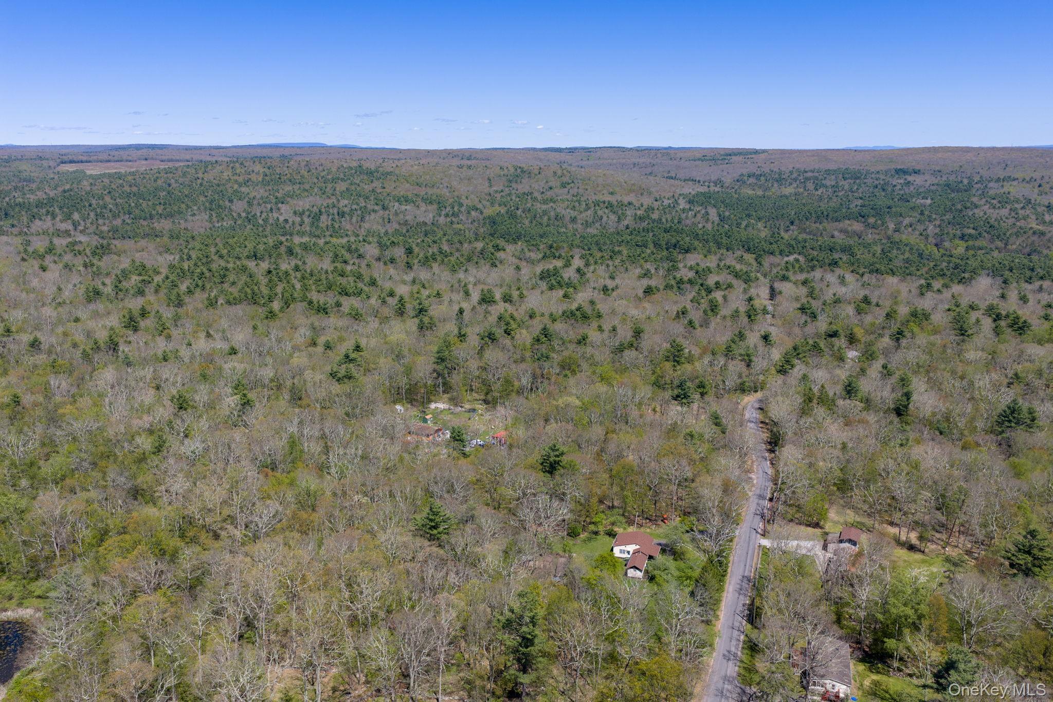Single Family Peenpack Orange County, NY 12780, MLS-996339-42