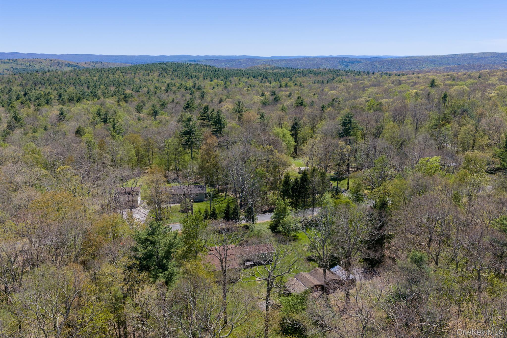 Single Family Peenpack Orange County, NY 12780, MLS-996339-43