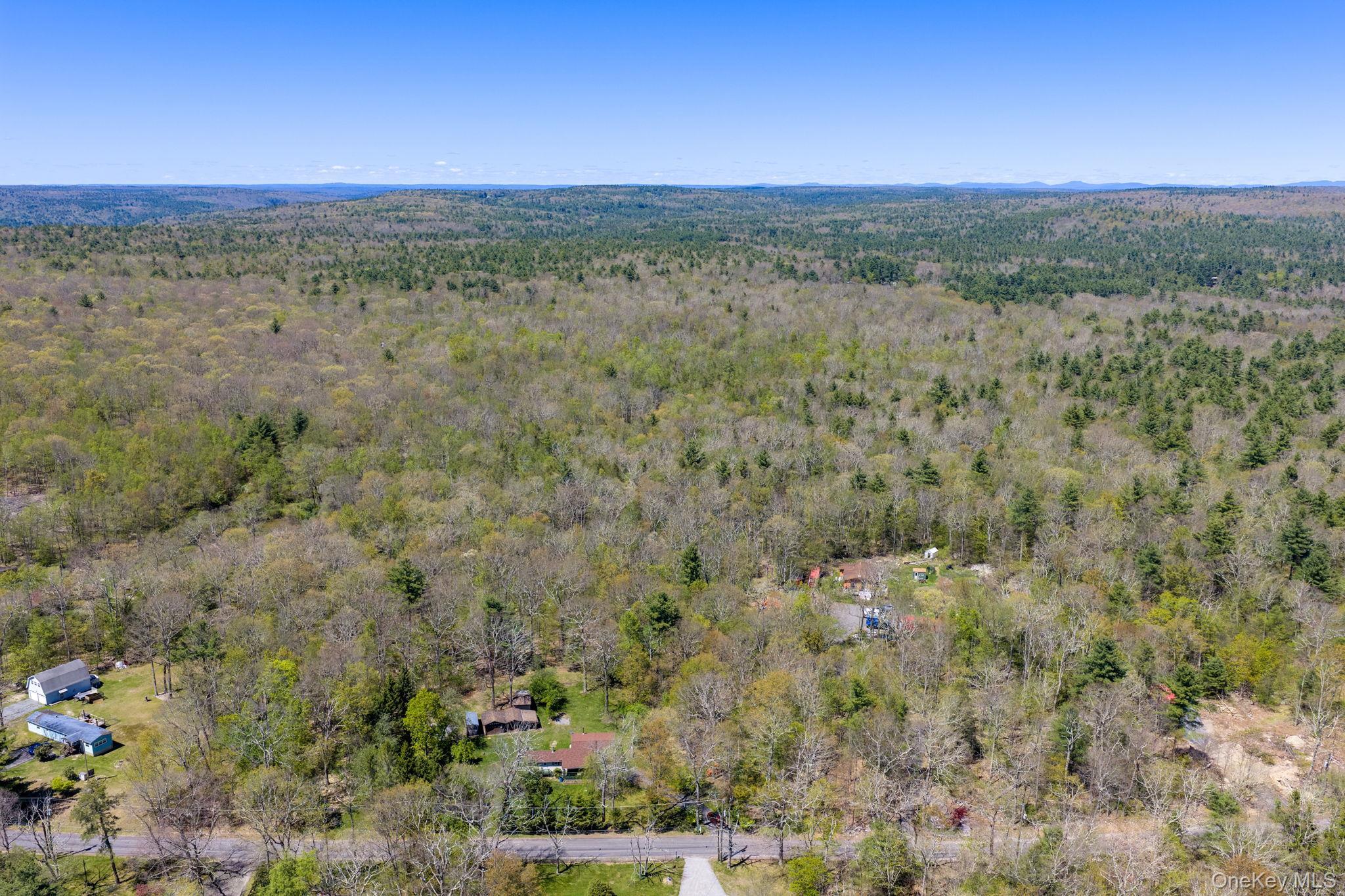 Single Family Peenpack Orange County, NY 12780, MLS-996339-45