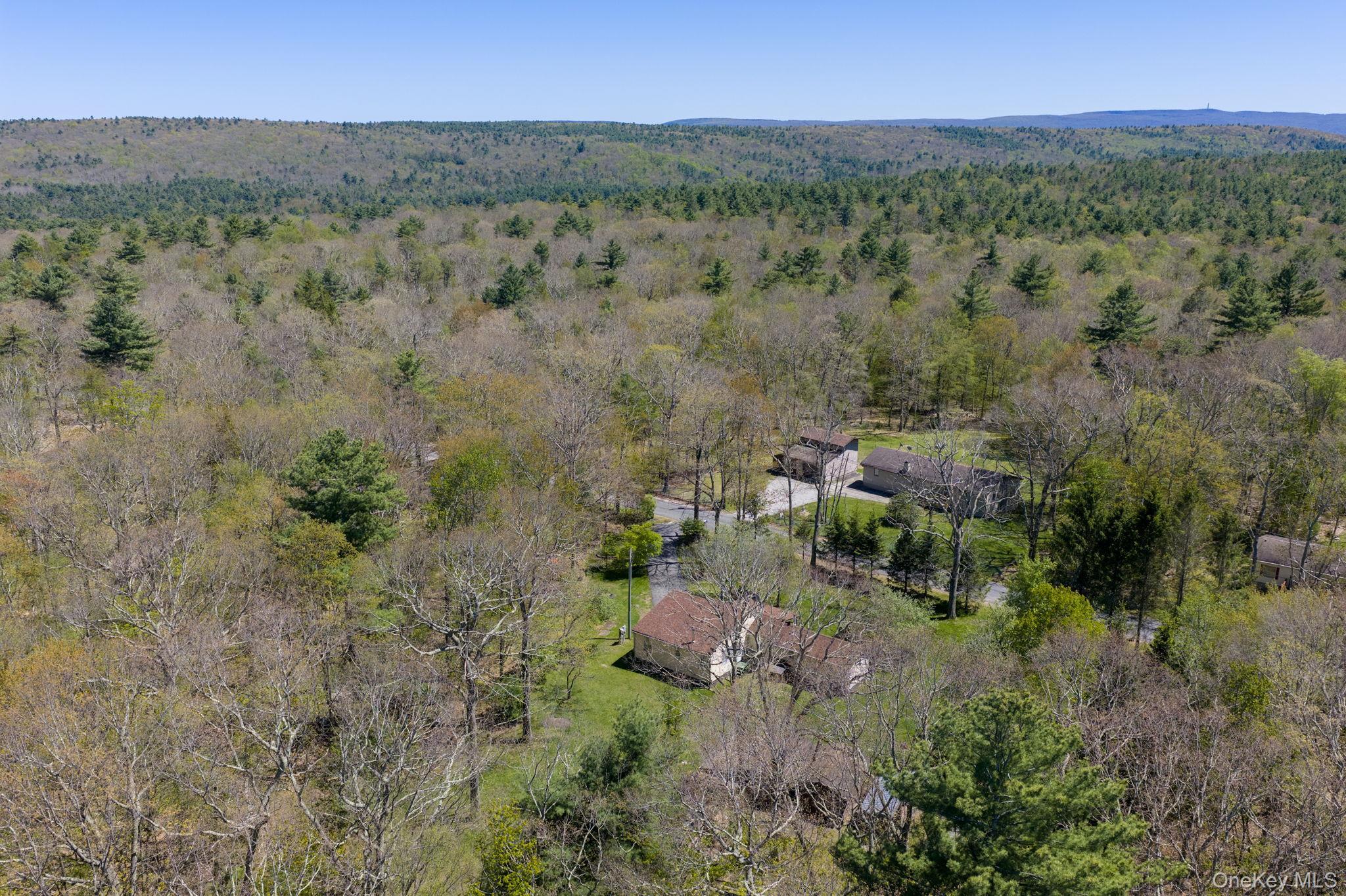 Single Family Peenpack Orange County, NY 12780, MLS-996339-46