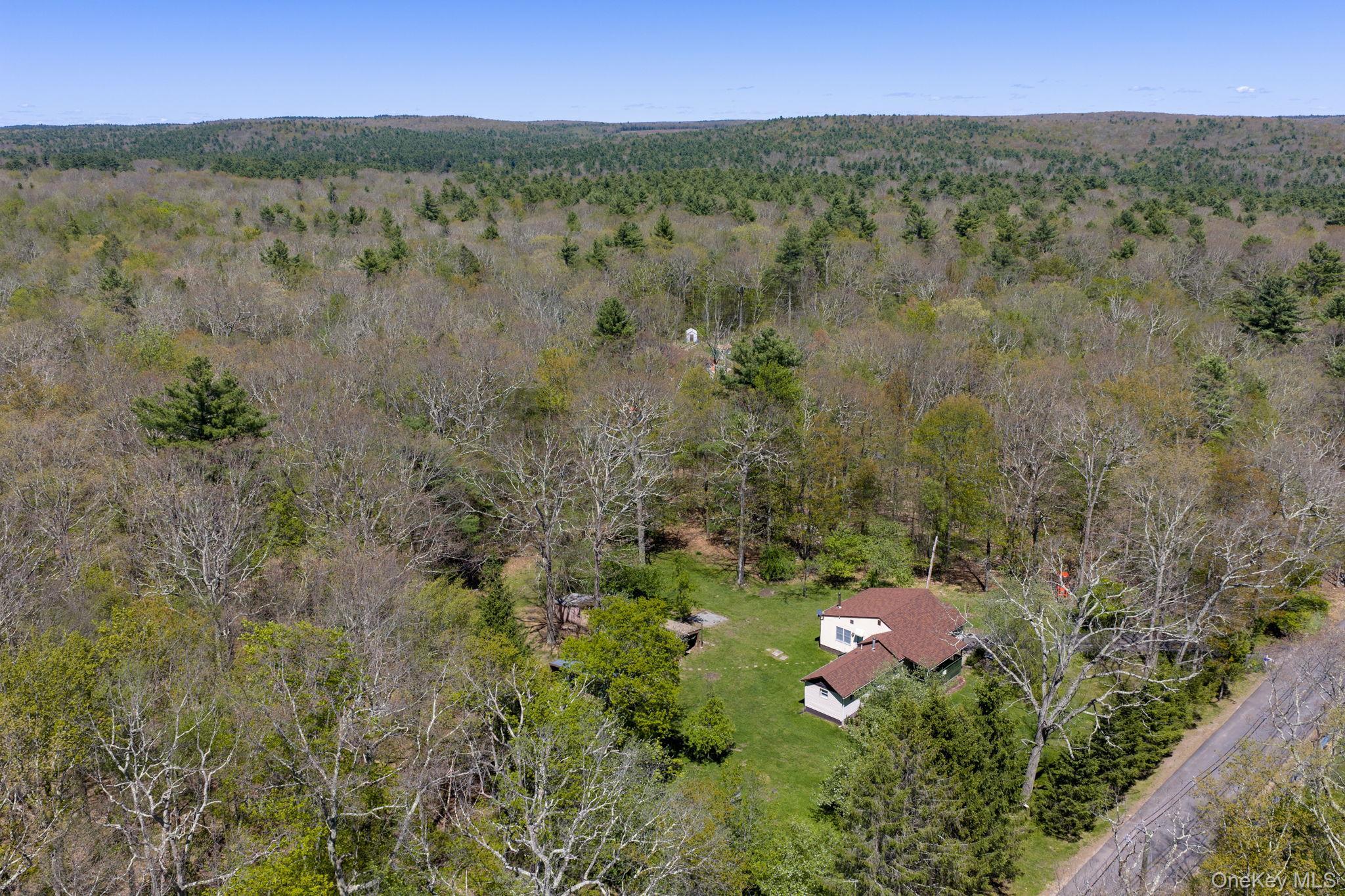 Single Family Peenpack Orange County, NY 12780, MLS-996339-47