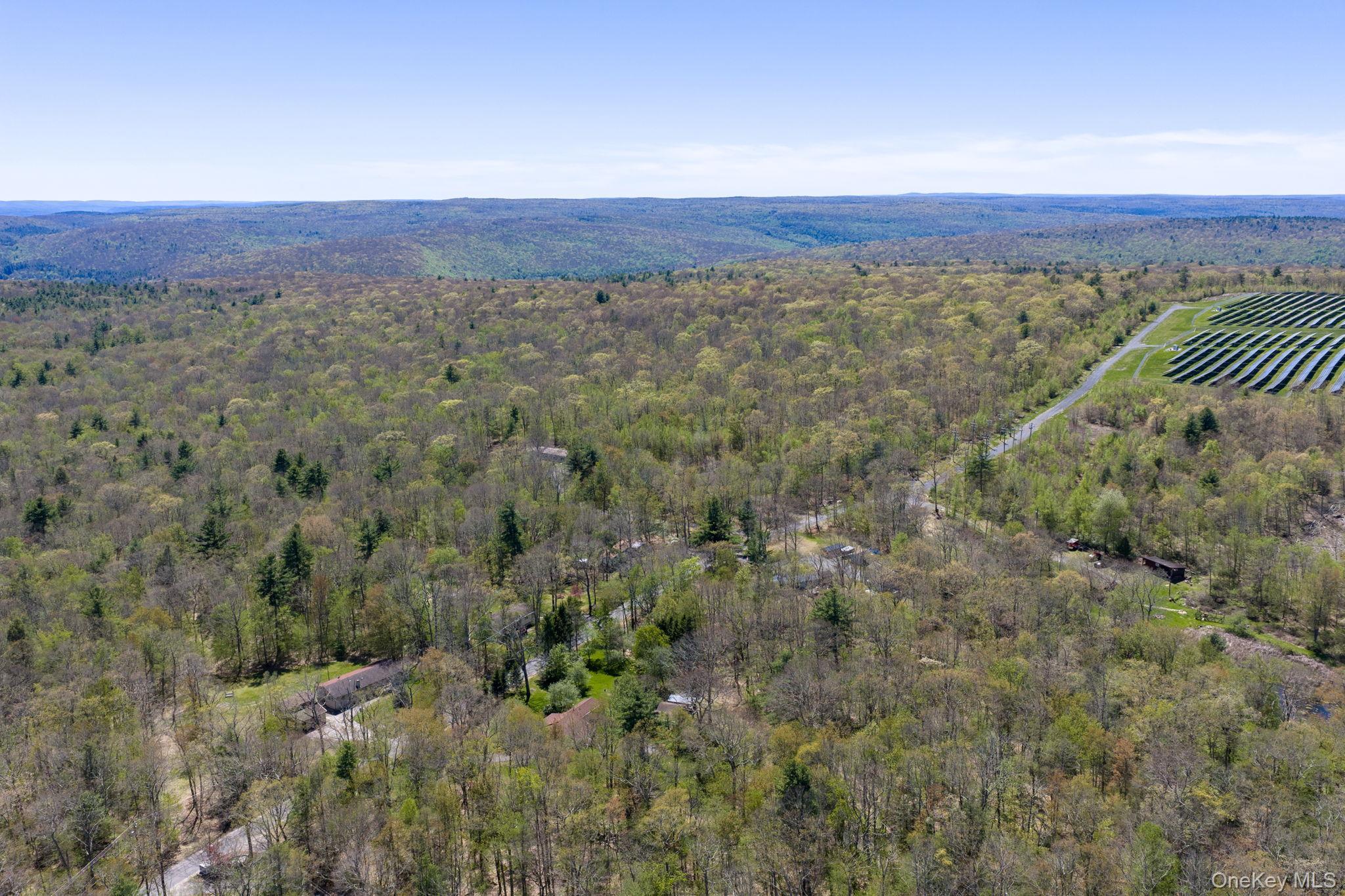 Single Family Peenpack Orange County, NY 12780, MLS-996339-48