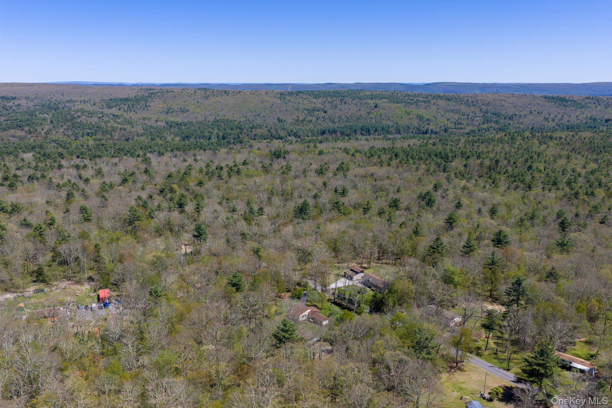Single Family Peenpack Orange County, NY 12780, MLS-996339-49