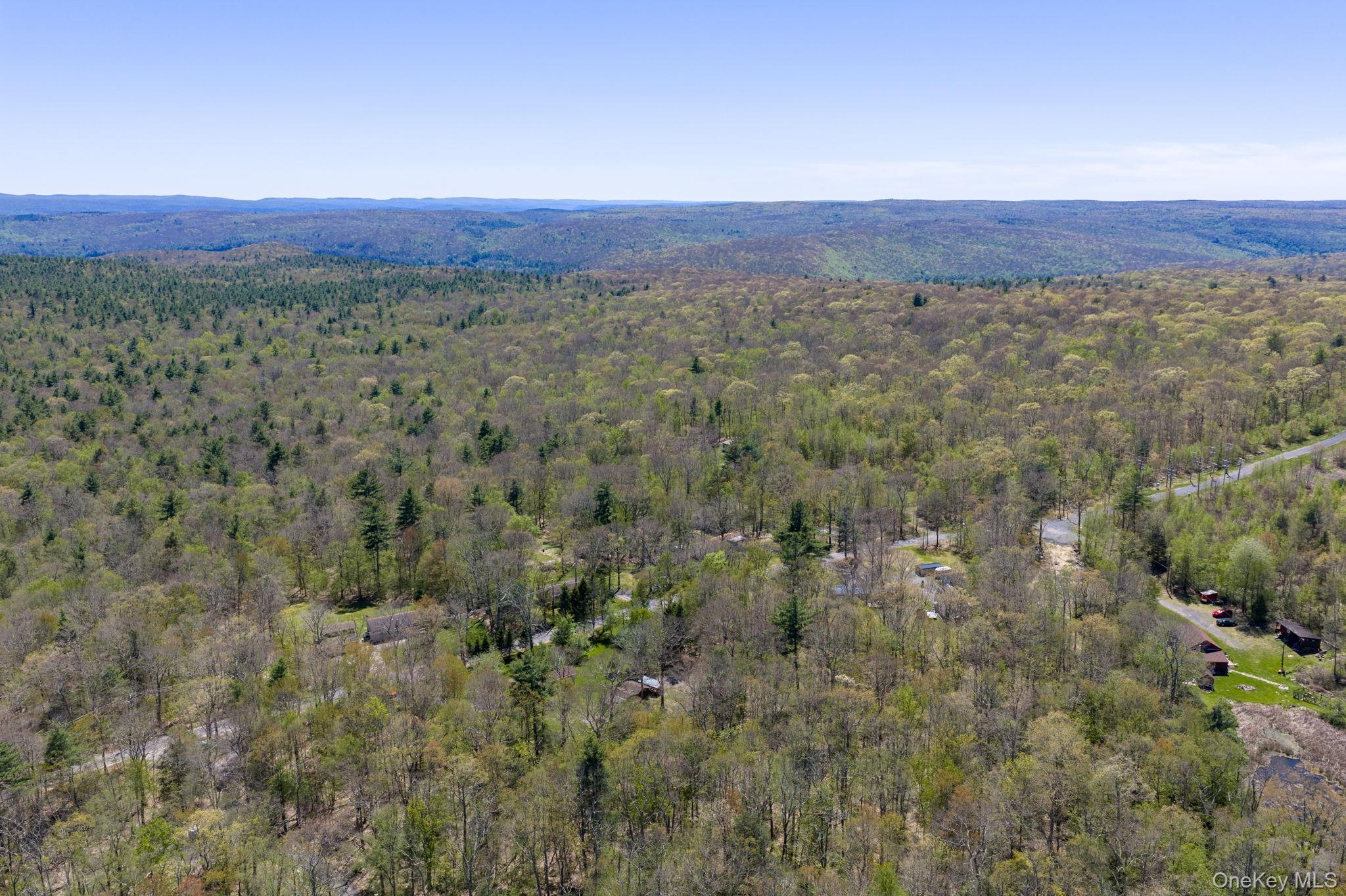 Single Family Peenpack  Orange County, NY 12780, MLS-996339-50