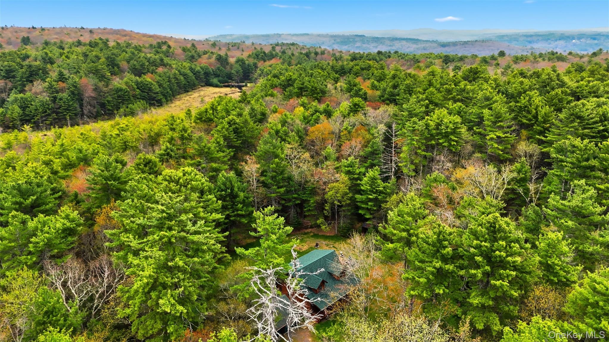 Single Family Forestburgh Road Sullivan County, NY 12737, MLS-996365-12