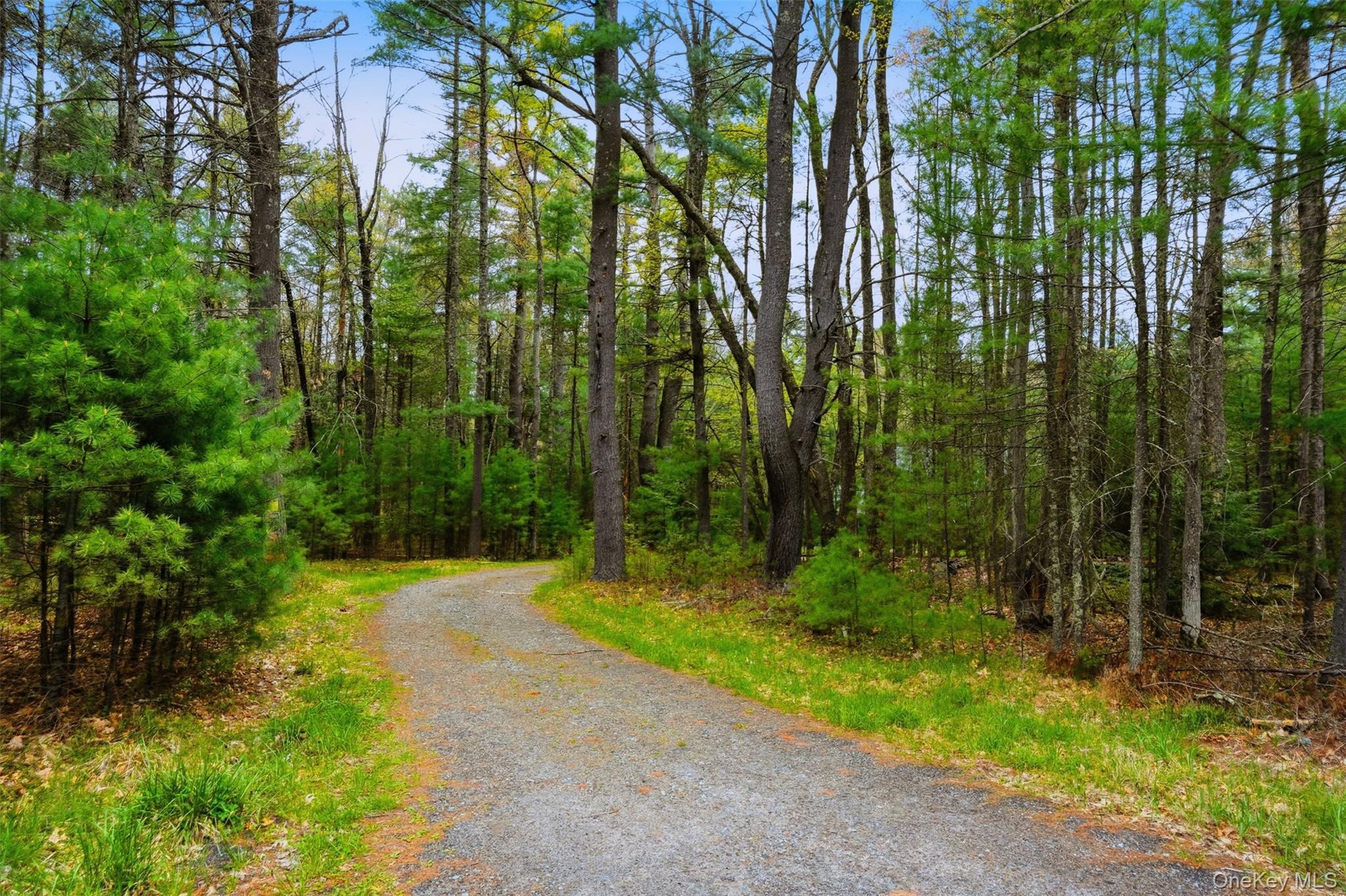 Single Family Forestburgh Road  Sullivan County, NY 12737, MLS-996365-45