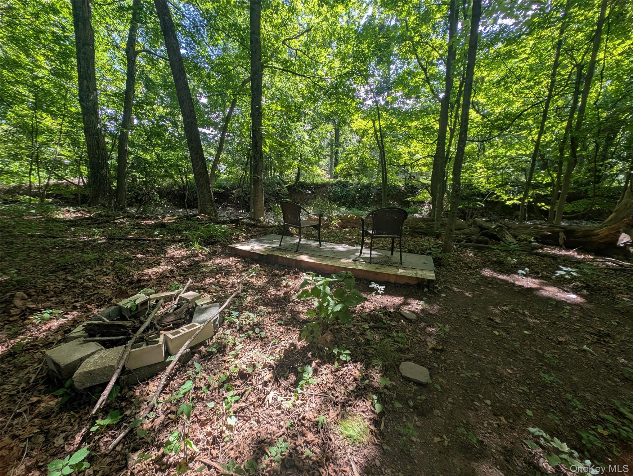 Single Family Hearts Content Greene County, NY 12473, MLS-996534-18