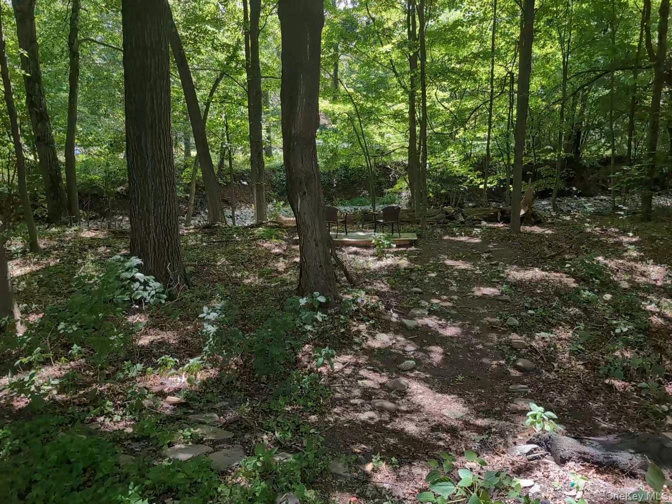 Single Family Hearts Content Greene County, NY 12473, MLS-996534-23