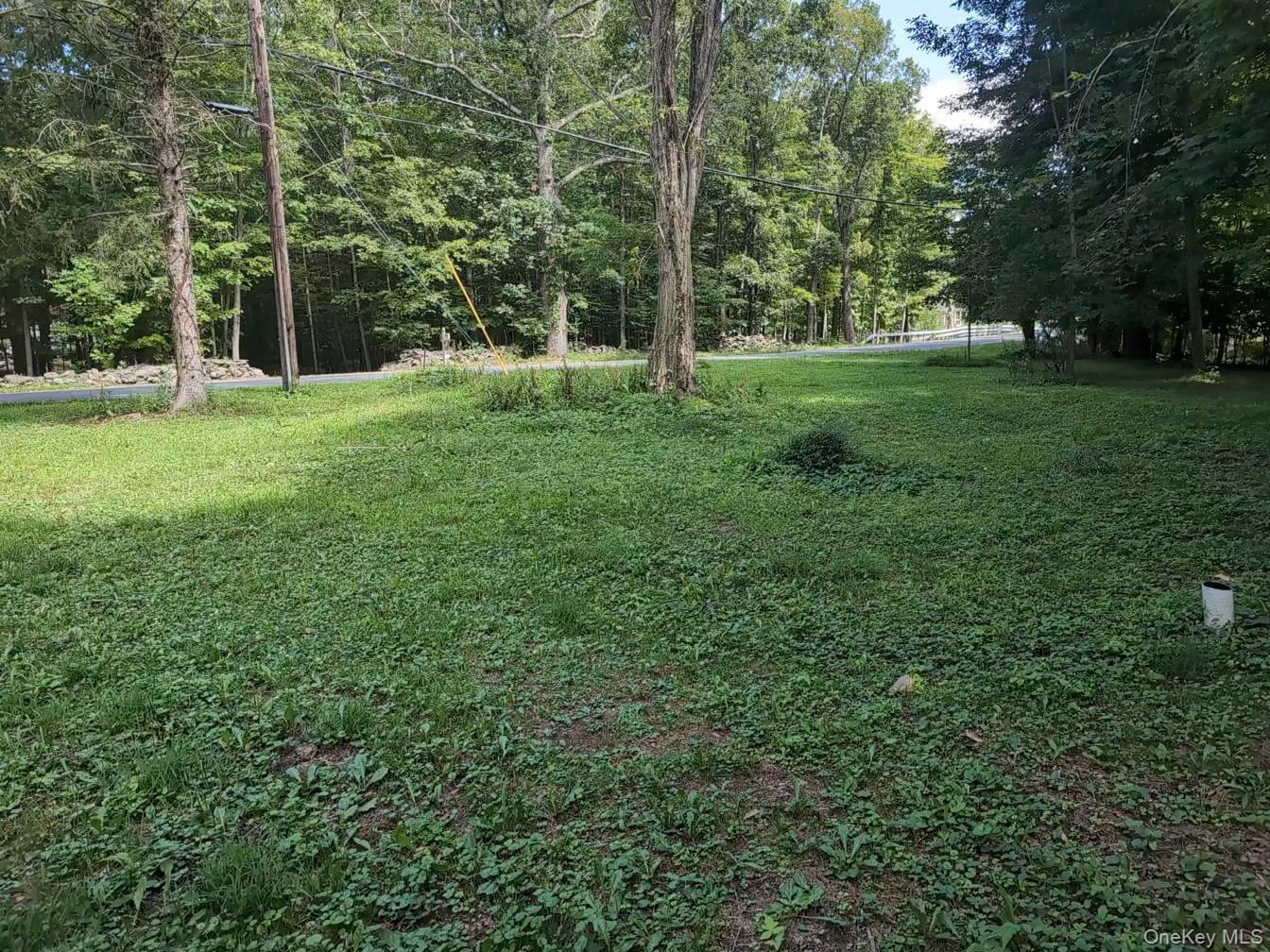 Single Family Hearts Content Greene County, NY 12473, MLS-996534-25
