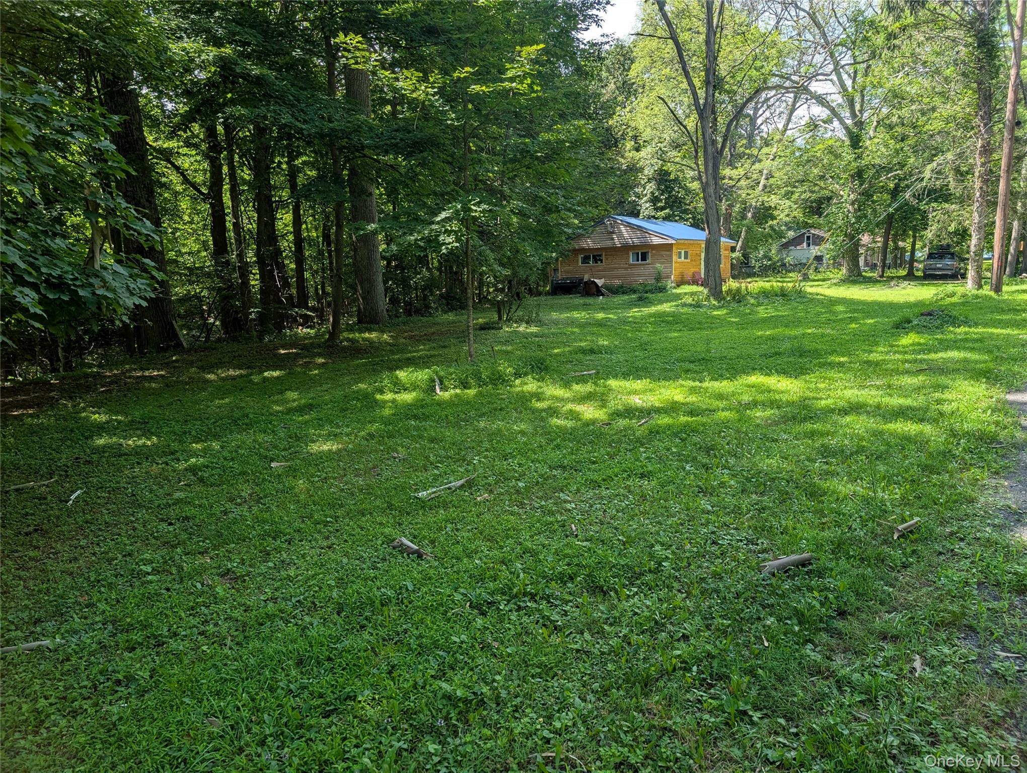 Single Family Hearts Content Greene County, NY 12473, MLS-996534-27