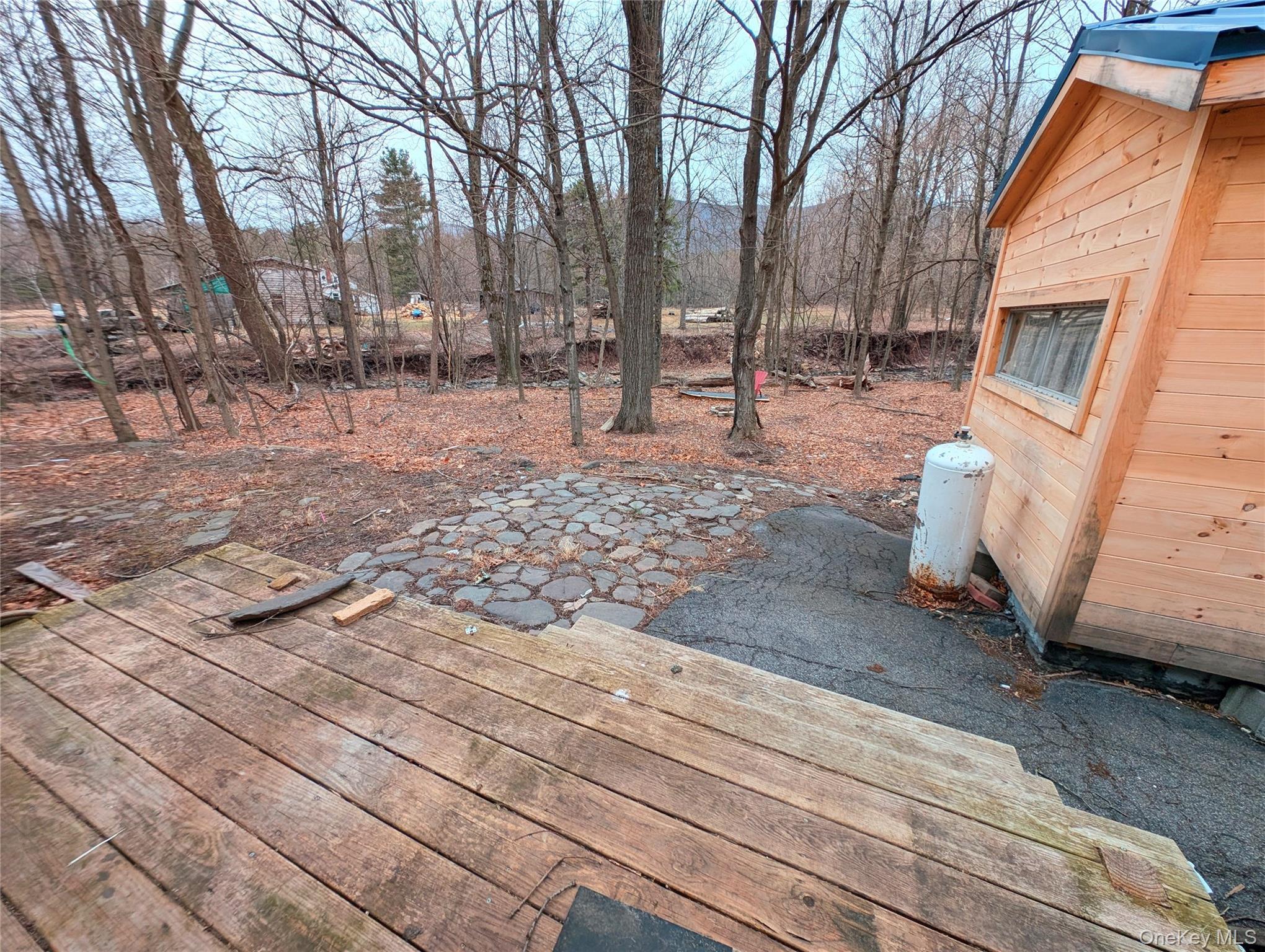Single Family Hearts Content  Greene County, NY 12473, MLS-996534-28