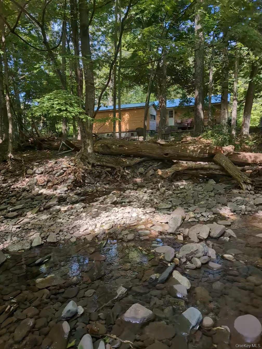 Single Family Hearts Content Greene County, NY 12473, MLS-996534-4