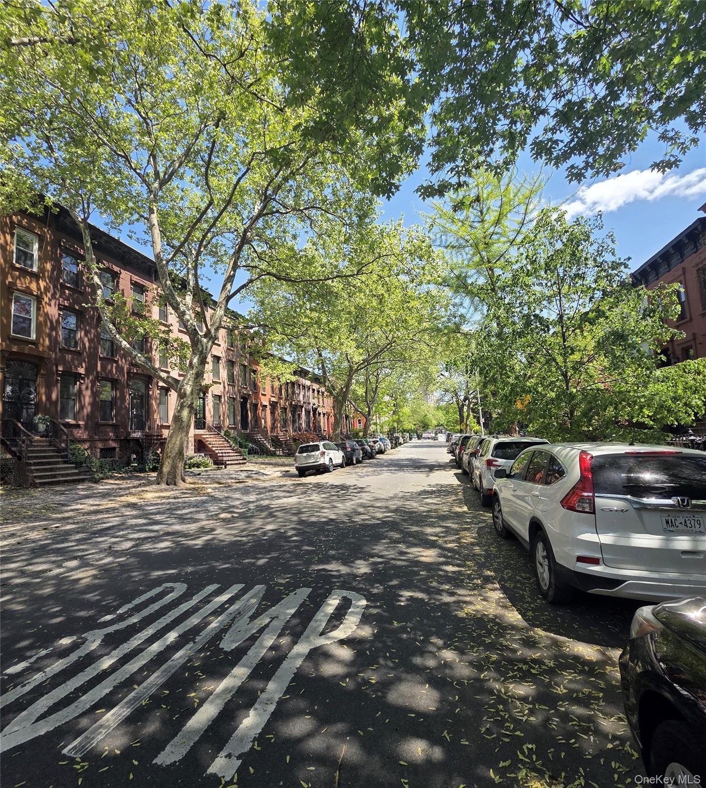 Single Family Quincy Street Brooklyn, NY 11221, MLS-996601-4