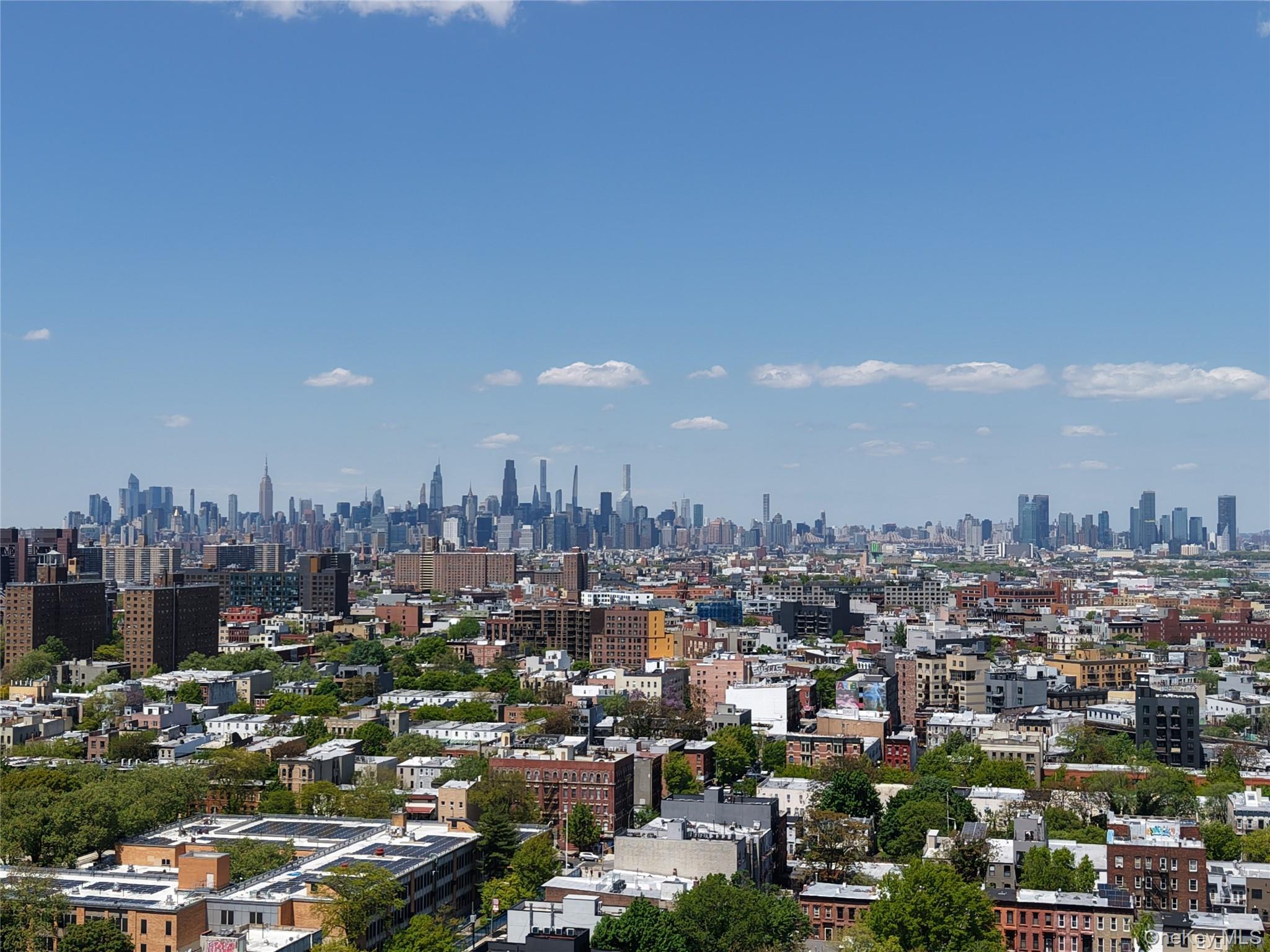 Single Family Quincy Street Brooklyn, NY 11221, MLS-996601-5