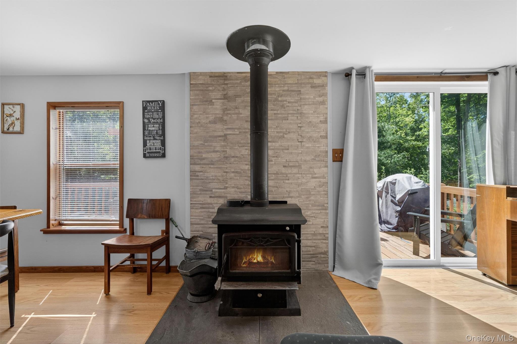 Single Family Shin Hollow Road  Orange County, NY 12771, MLS-996669-13