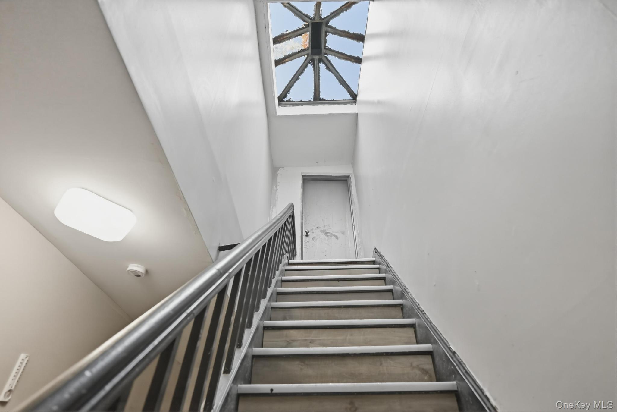 Single Family Glenmore  Brooklyn, NY 11208, MLS-996806-10