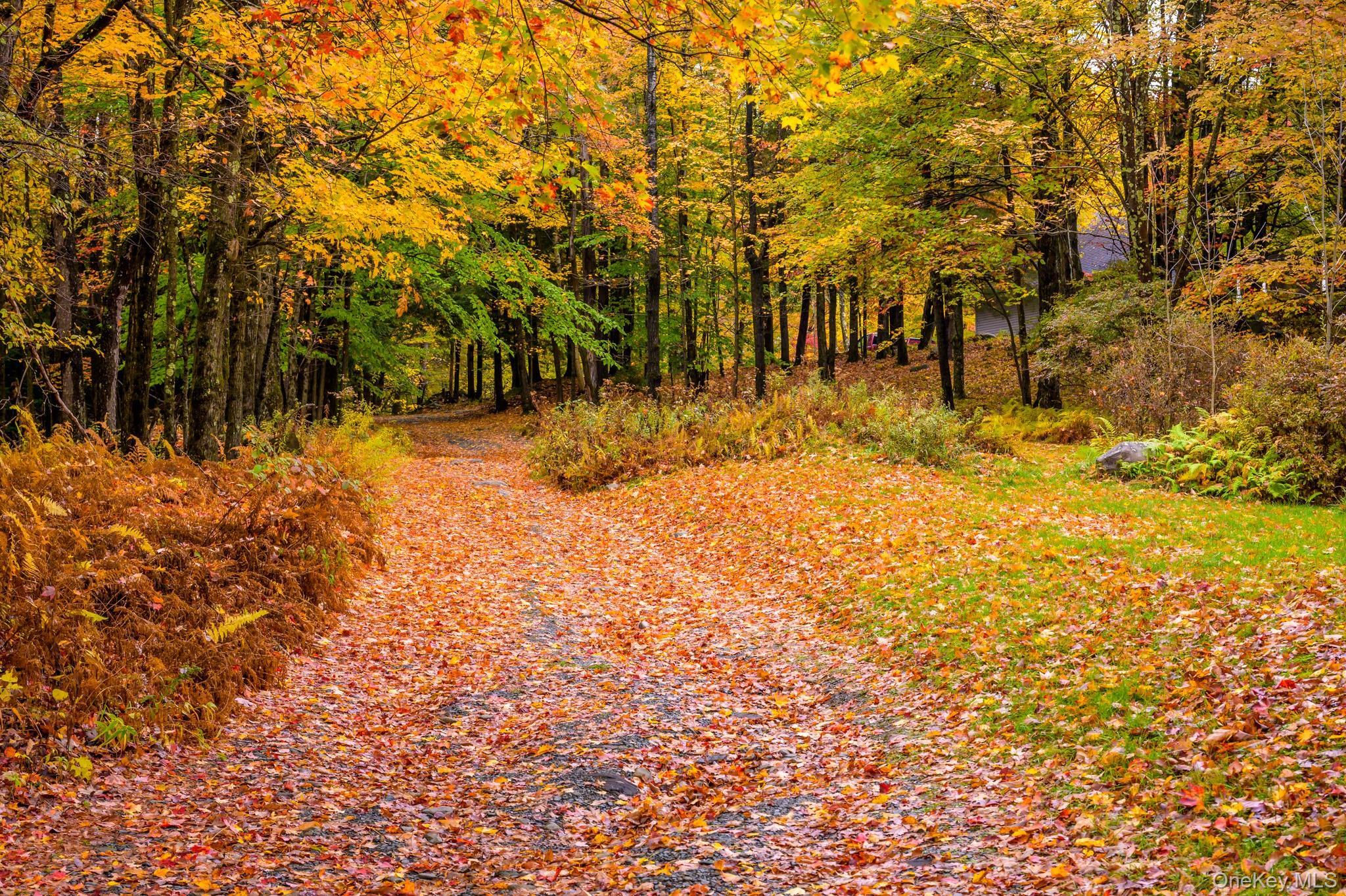 Single Family Plank Road  Out Of Area, NY 12140, MLS-997016-20