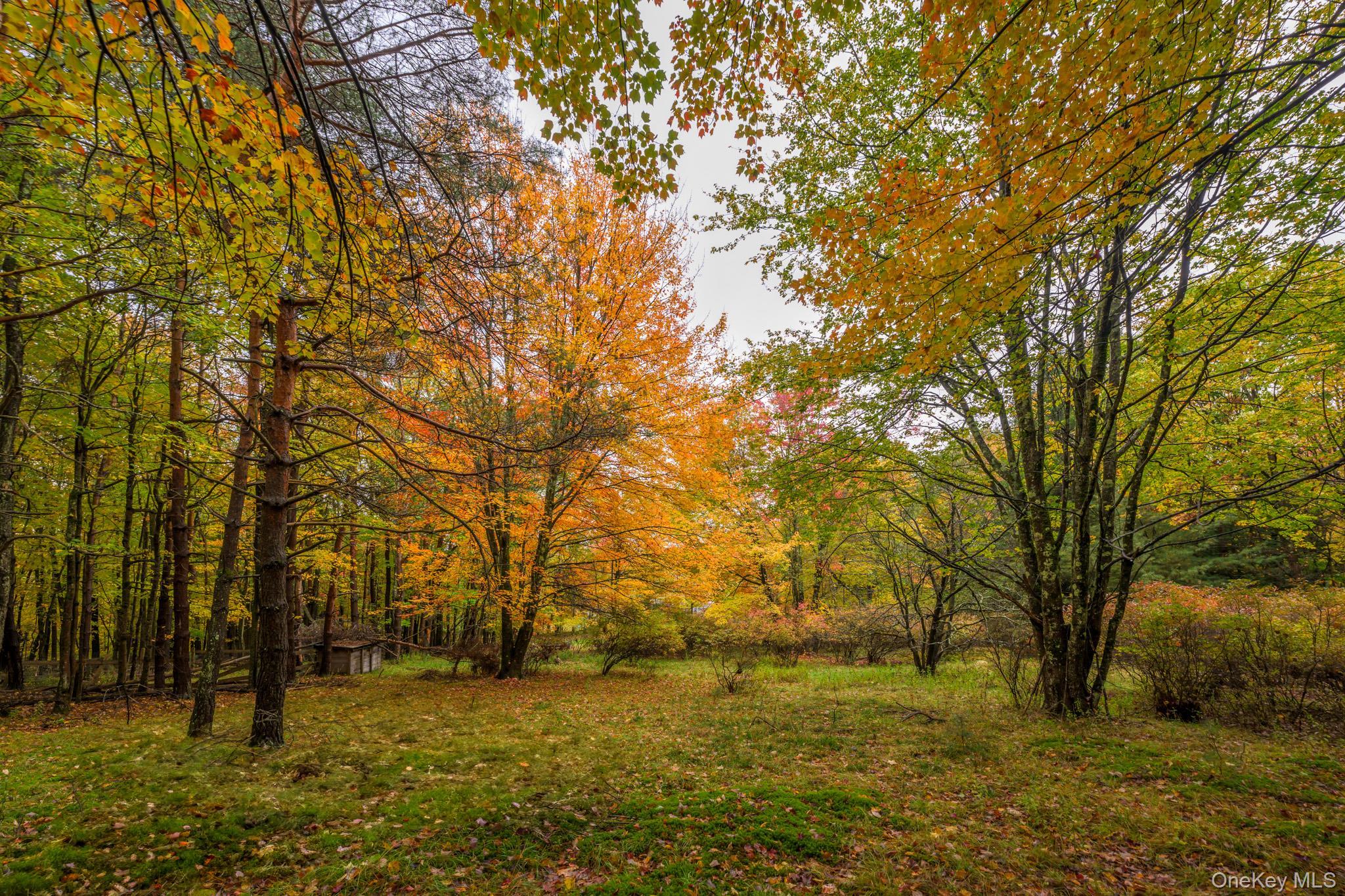 Single Family Plank Road  Out Of Area, NY 12140, MLS-997016-25
