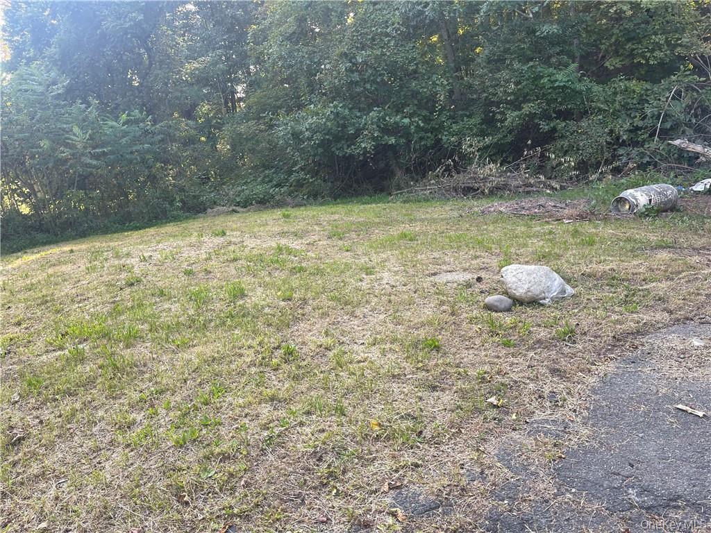 Single Family Mccune Place  Sullivan County, NY 12790, MLS-997065-13