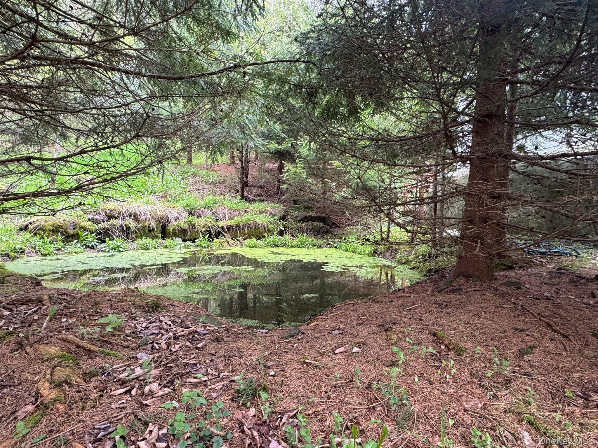 Single Family Federal Hill Rd 1 Delaware County, NY 13753, MLS-997147-15