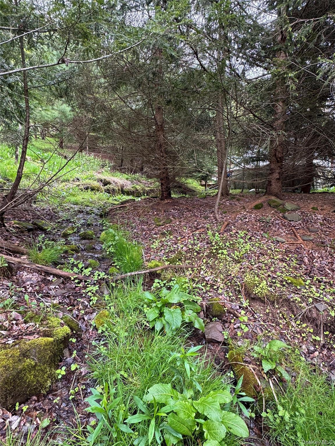 Single Family Federal Hill Rd 1 Delaware County, NY 13753, MLS-997147-16