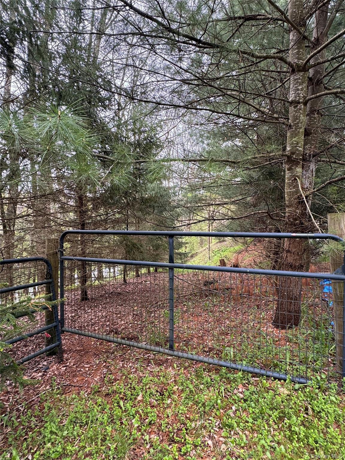 Single Family Federal Hill Rd 1 Delaware County, NY 13753, MLS-997147-17