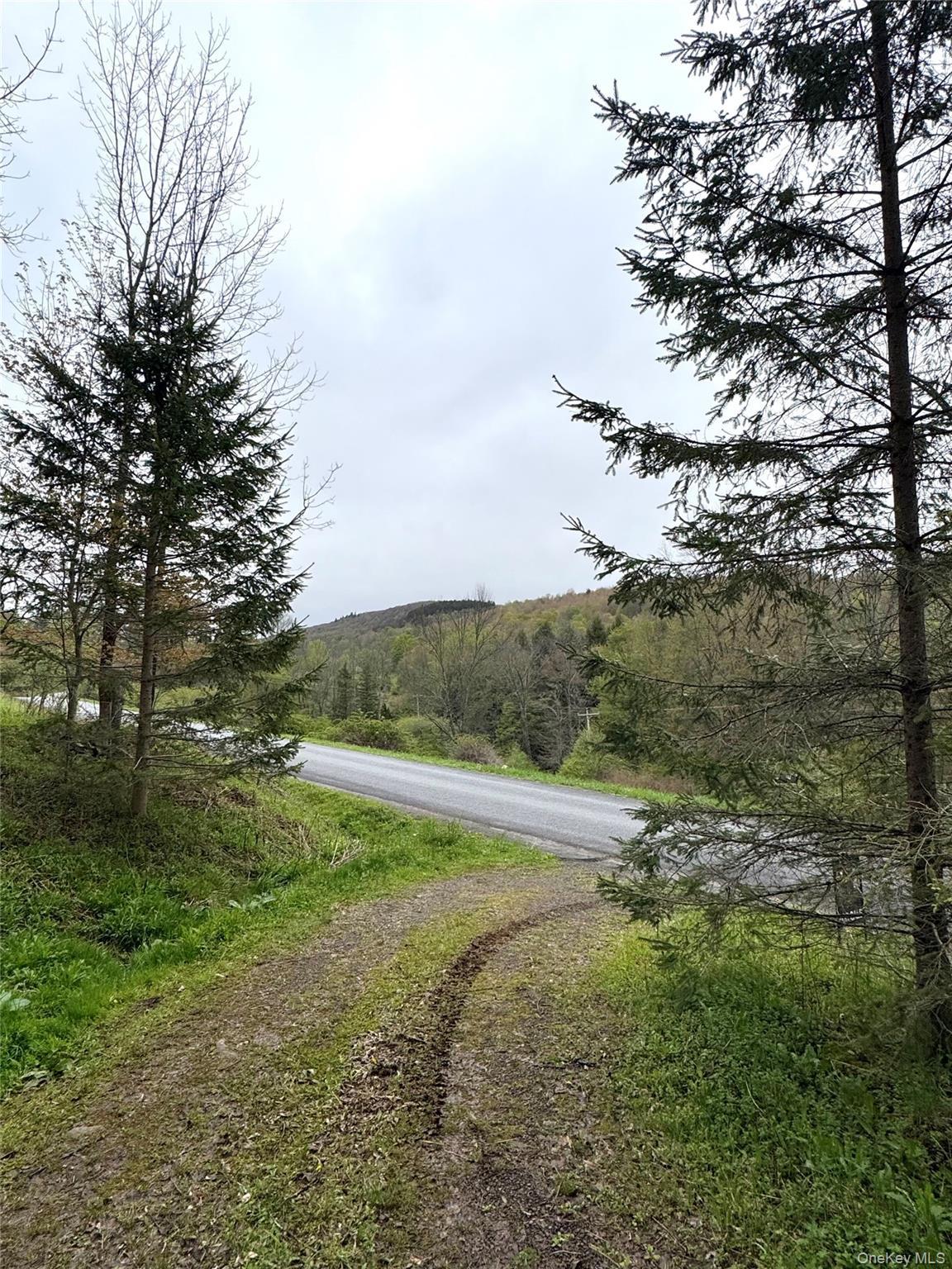Single Family Federal Hill Rd 1 Delaware County, NY 13753, MLS-997147-18