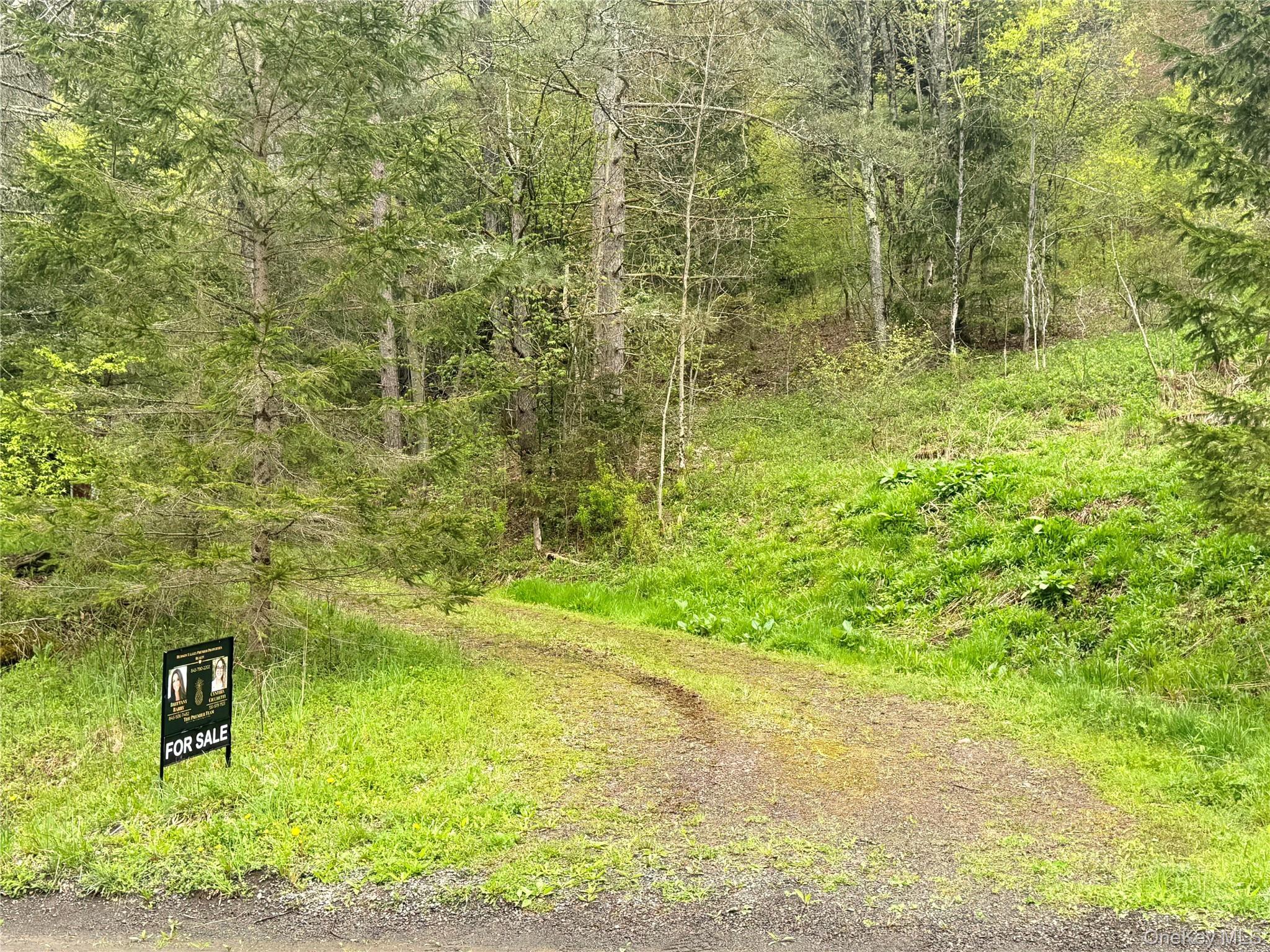 Single Family Federal Hill Rd 1  Delaware County, NY 13753, MLS-997147-19