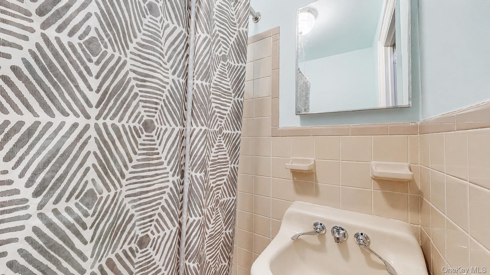 Single Family Schenck Brooklyn, NY 11207, MLS-997152-7