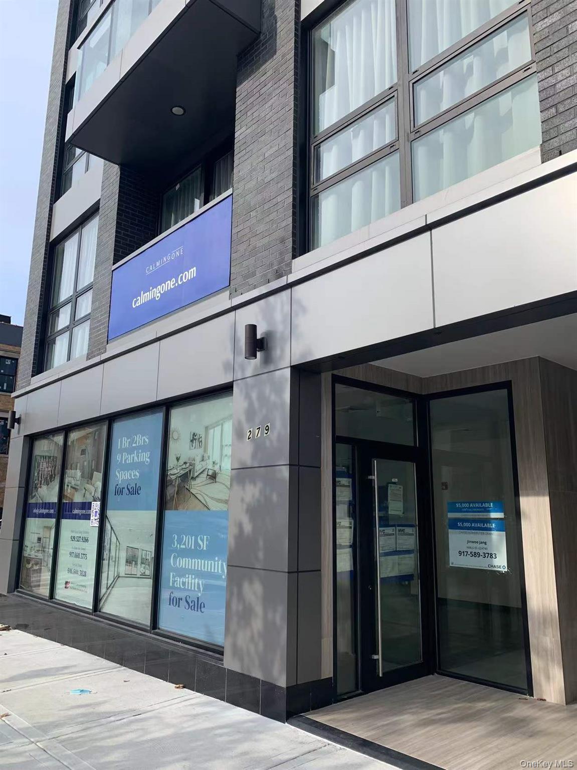 Commercial Sale Sumpter Street  Brooklyn, NY 11233, MLS-997199-2