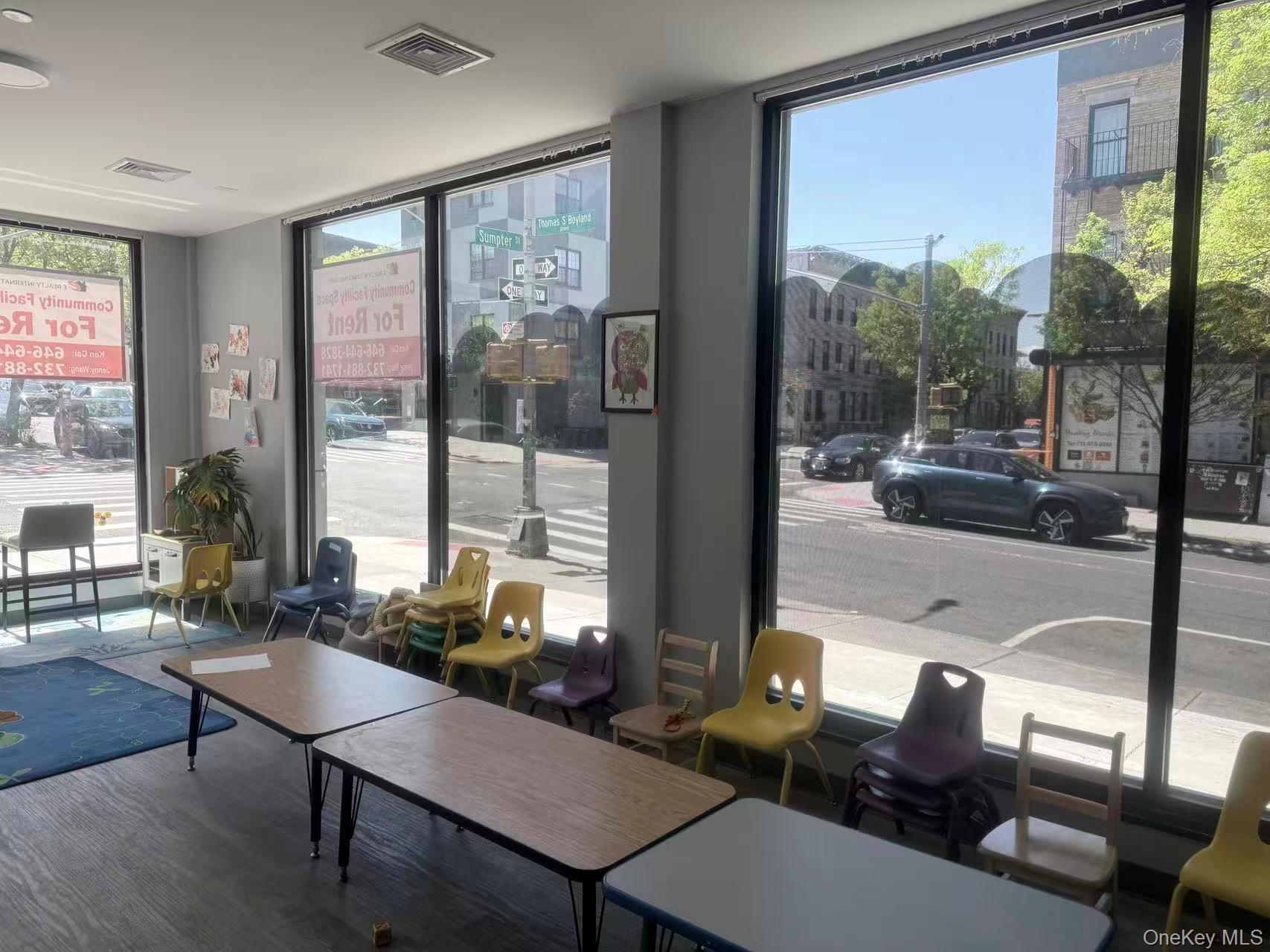 Commercial Sale Sumpter Street  Brooklyn, NY 11233, MLS-997199-3