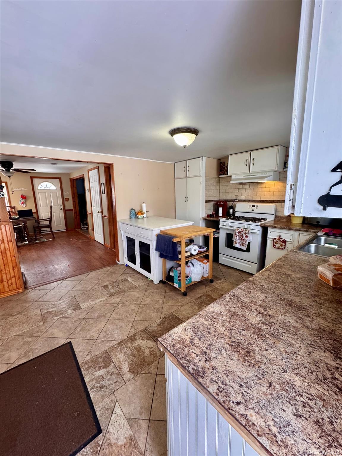 Single Family Peenpack Orange County, NY 12746, MLS-997217-3