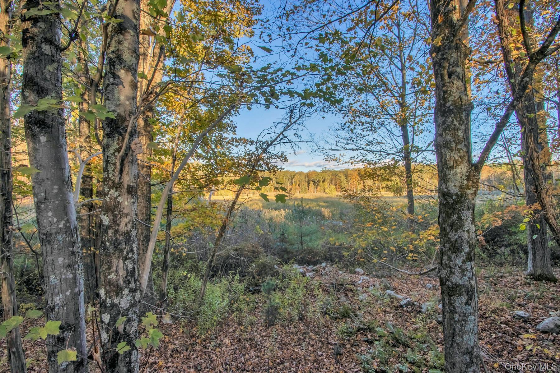 Single Family Dashville Road Ulster County, NY 12561, MLS-997298-40