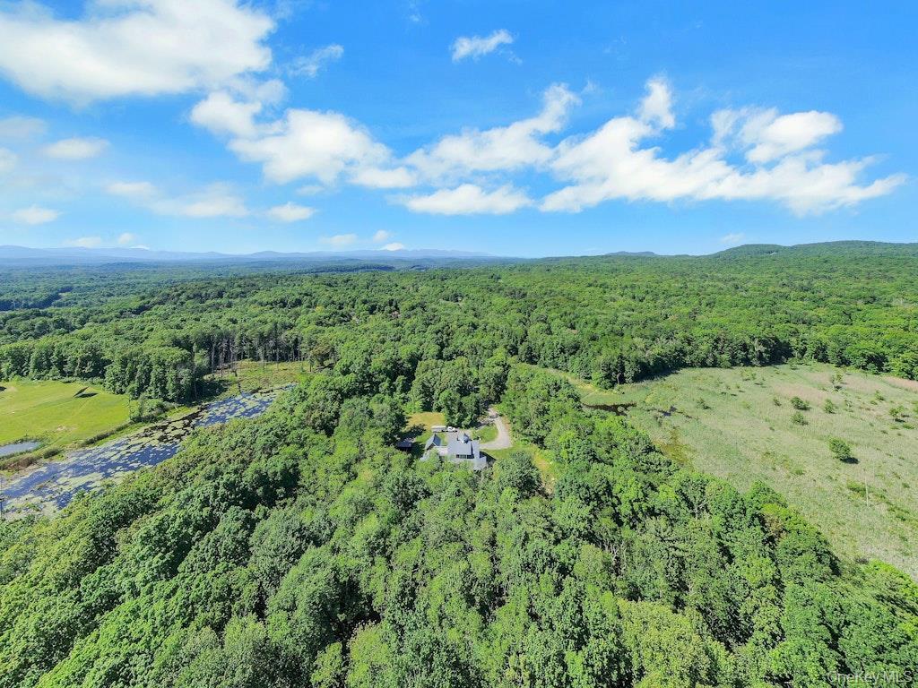 Single Family Dashville Road  Ulster County, NY 12561, MLS-997298-43