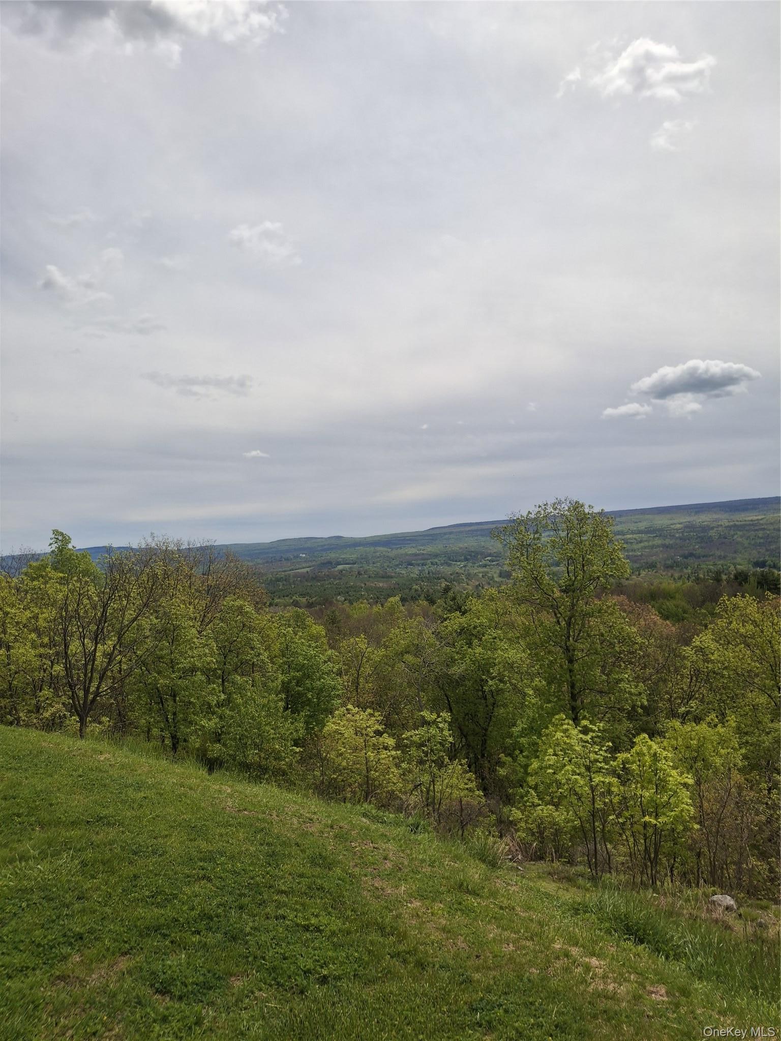 Single Family J&j Road Ulster County, NY 12446, MLS-997452-10