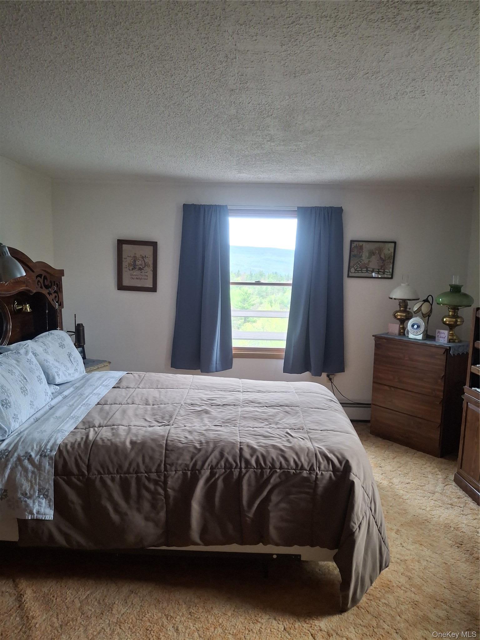 Single Family J&j Road Ulster County, NY 12446, MLS-997452-19
