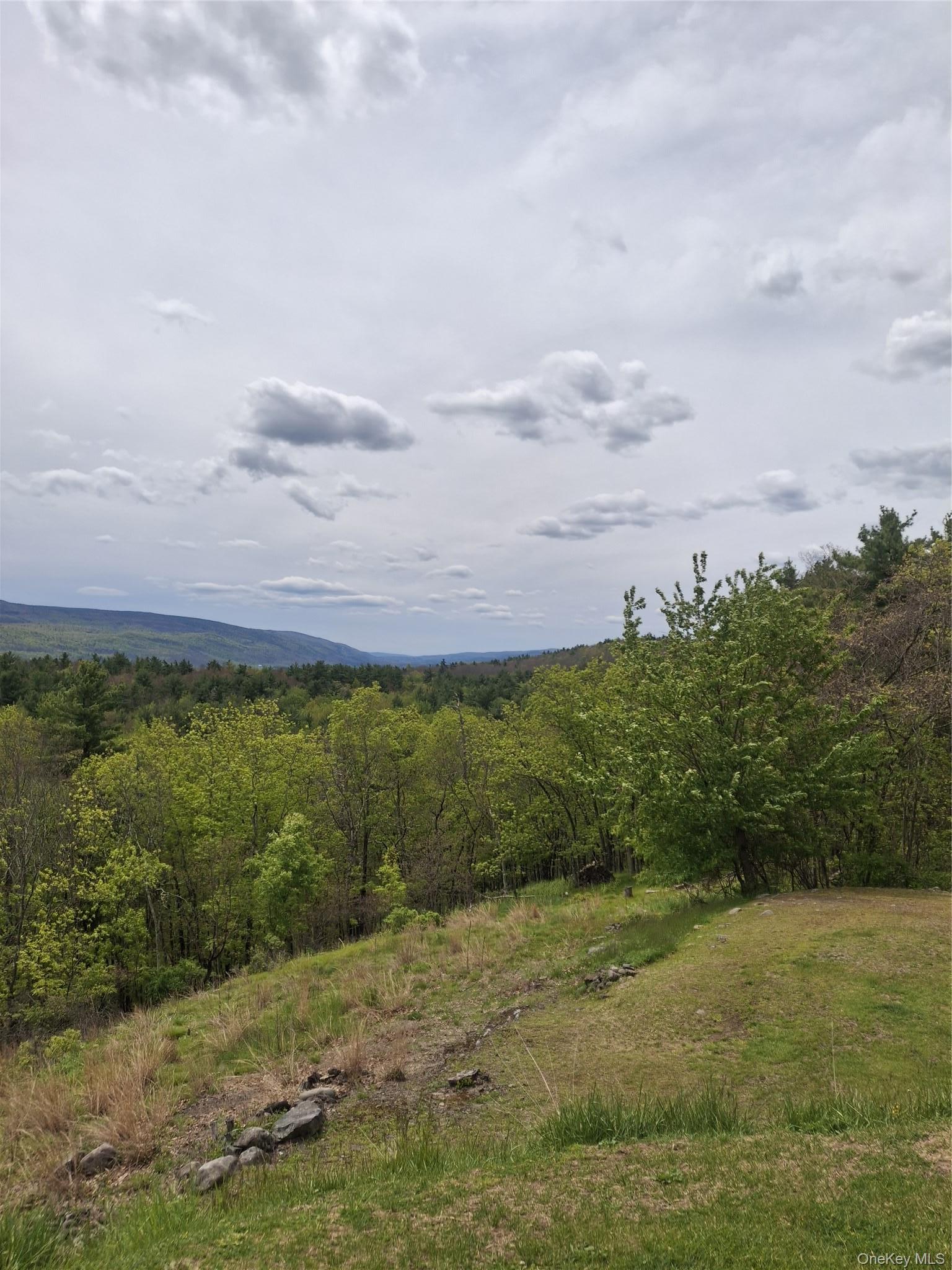 Single Family J&j Road Ulster County, NY 12446, MLS-997452-9