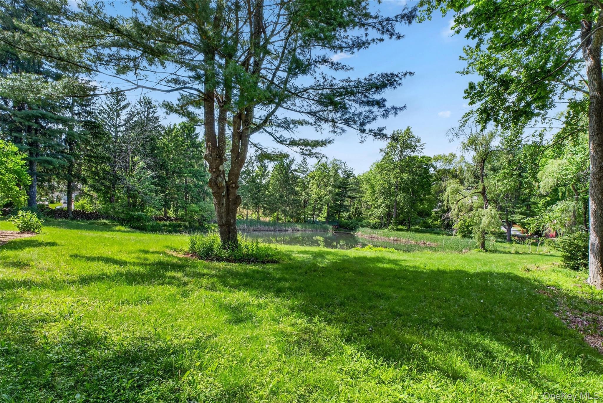 Single Family Eddy Road  Dutchess County, NY 12585, MLS-997457-33