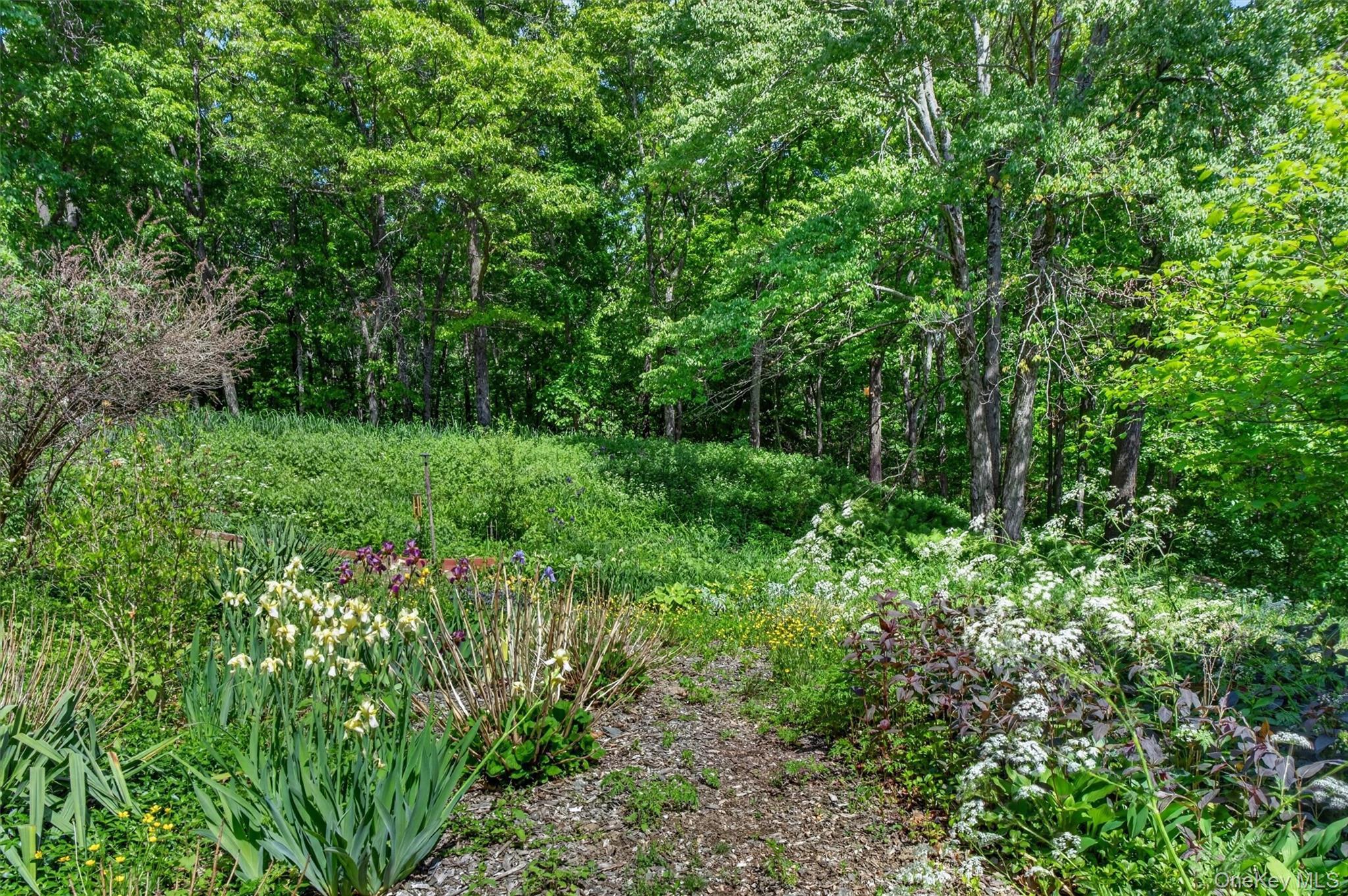 Single Family Eddy Road  Dutchess County, NY 12585, MLS-997457-35