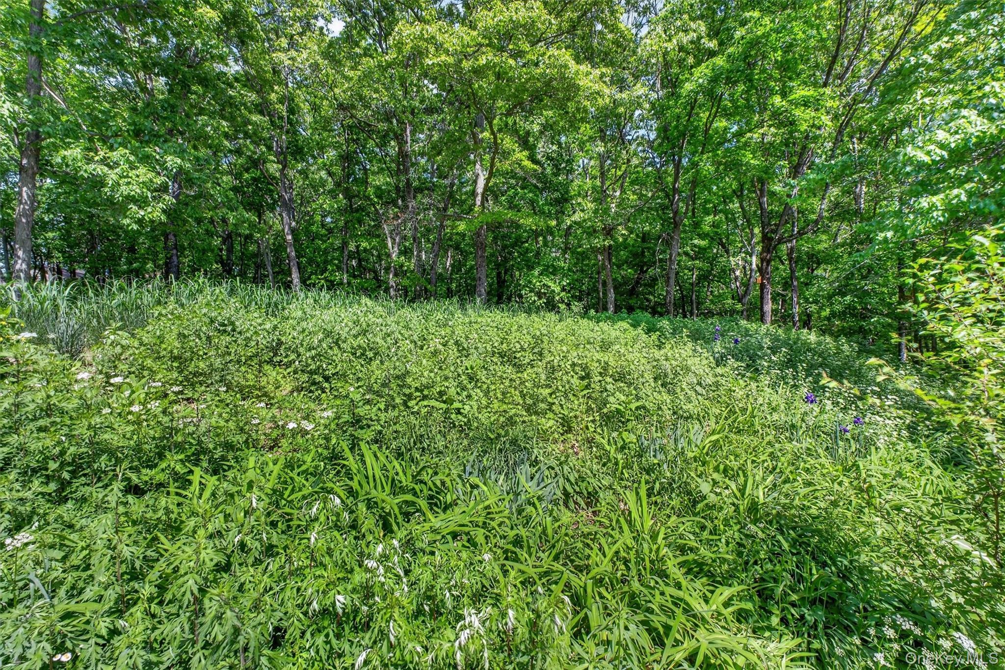 Single Family Eddy Road  Dutchess County, NY 12585, MLS-997457-36