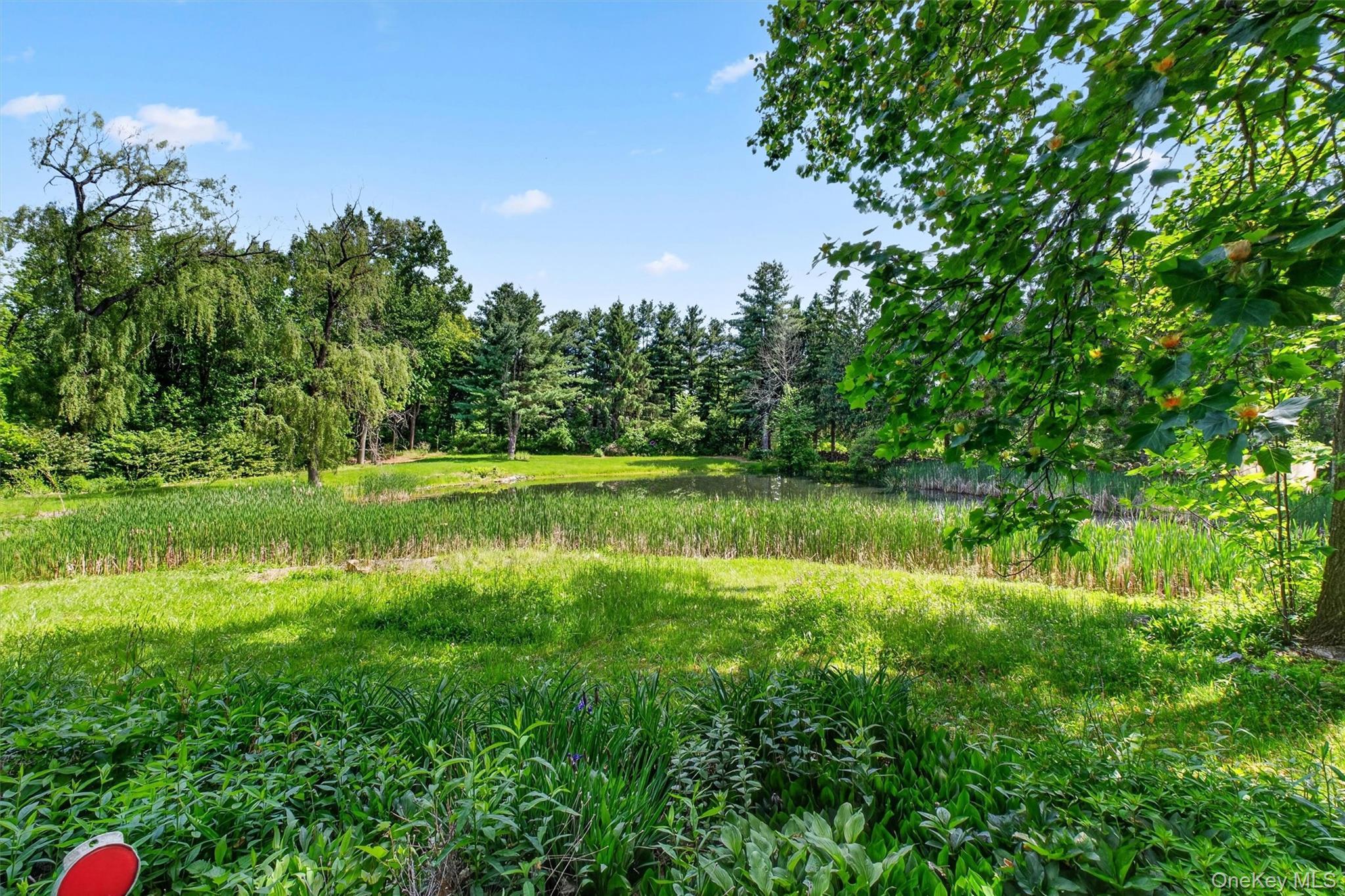 Single Family Eddy Road  Dutchess County, NY 12585, MLS-997457-37