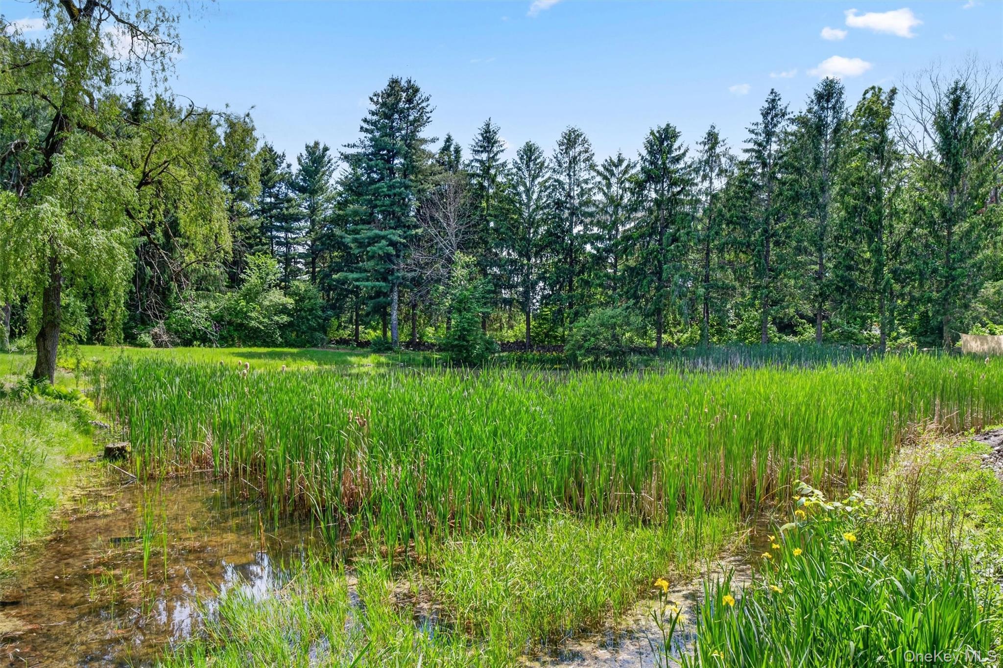 Single Family Eddy Road  Dutchess County, NY 12585, MLS-997457-38