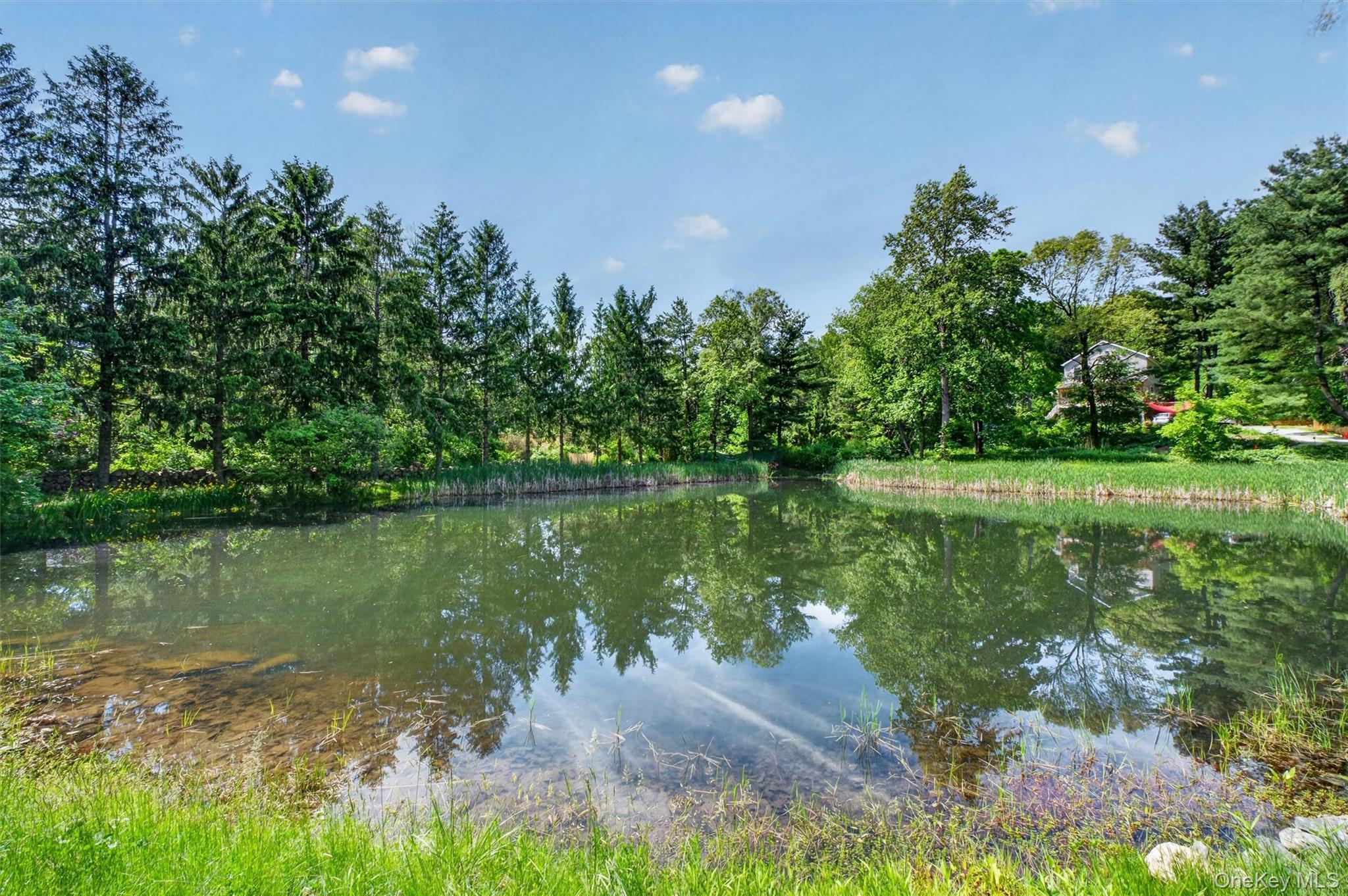Single Family Eddy Road  Dutchess County, NY 12585, MLS-997457-39