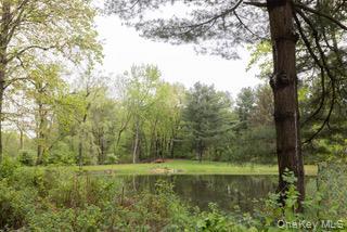Single Family Eddy Road  Dutchess County, NY 12585, MLS-997457-43