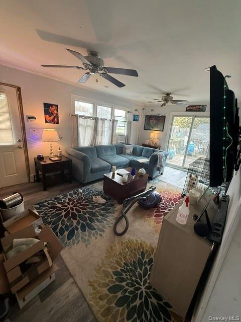 Single Family Whittier Drive Suffolk County, NY 11951, MLS-997526-4