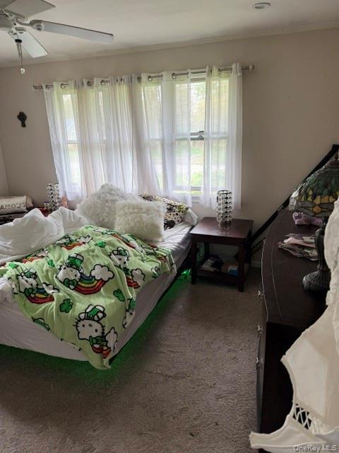 Single Family Whittier Drive Suffolk County, NY 11951, MLS-997526-6