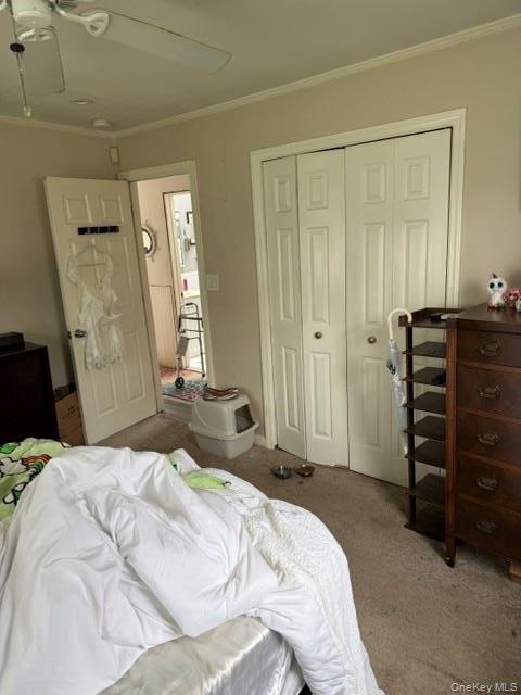 Single Family Whittier Drive Suffolk County, NY 11951, MLS-997526-7