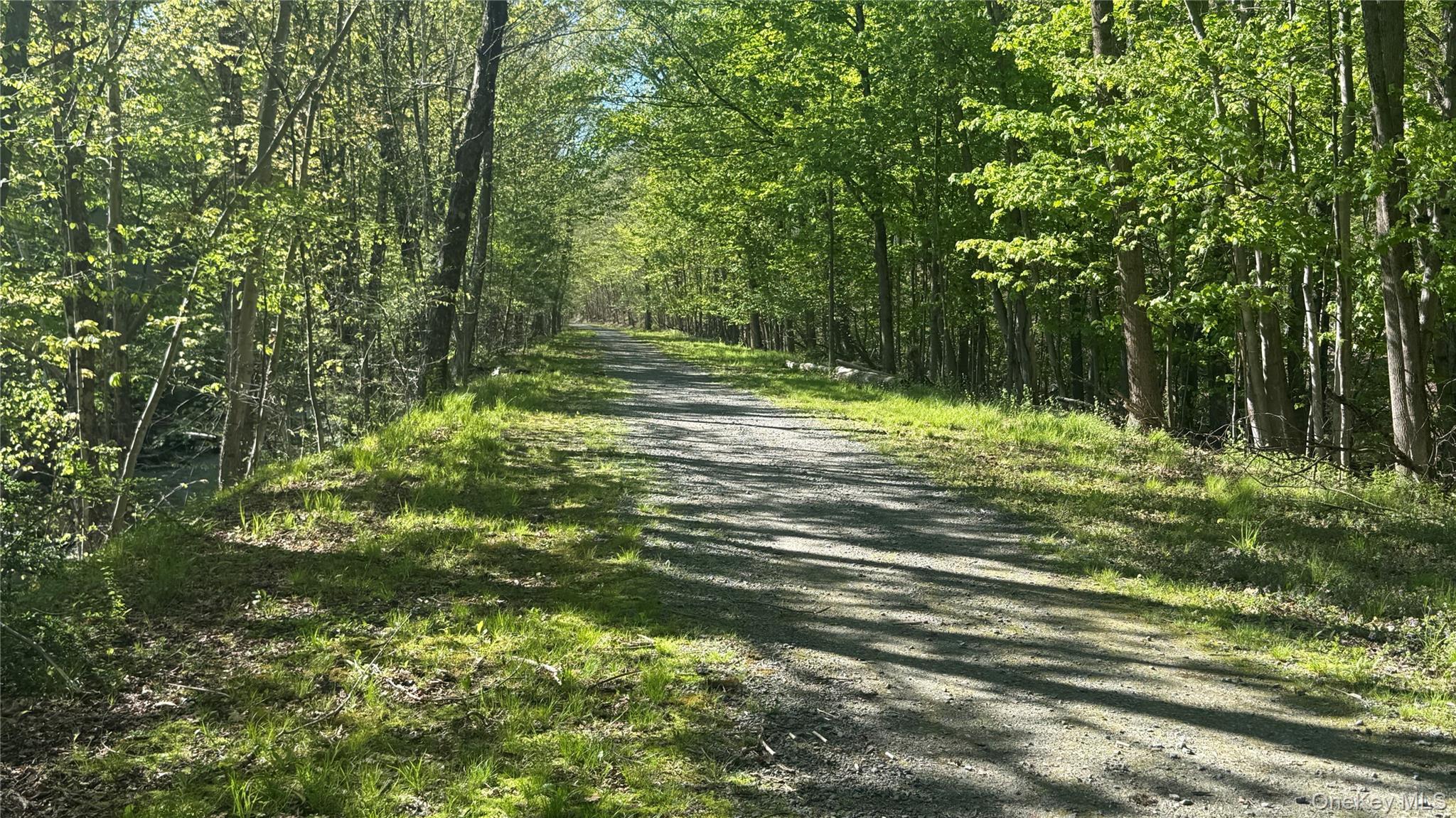 Single Family Mountaindale Main Street Sullivan County, NY 12763, MLS-997579-21