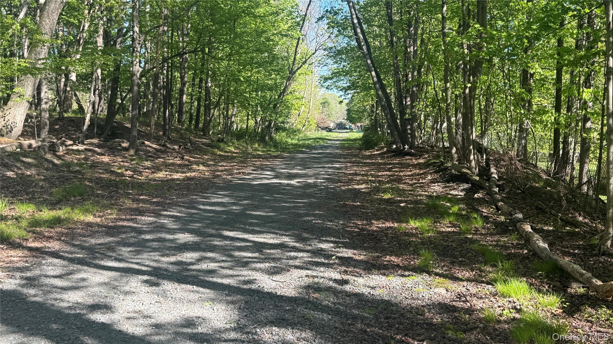 Single Family Mountaindale Main Street Sullivan County, NY 12763, MLS-997579-22